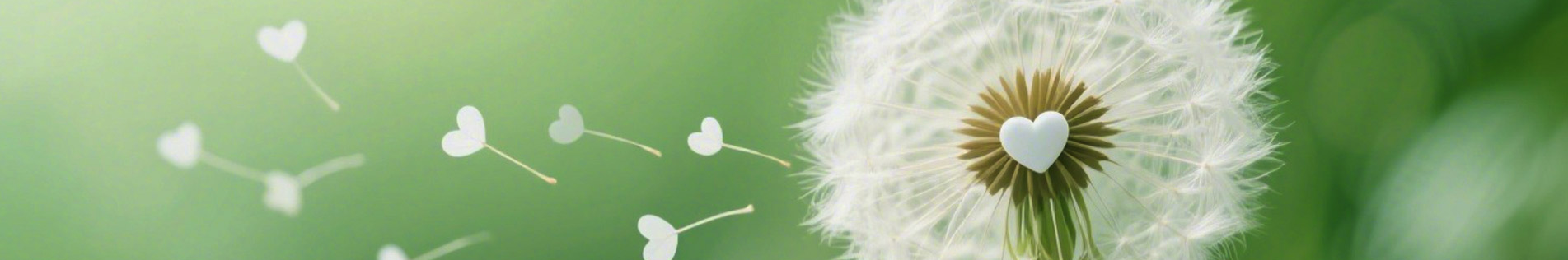 發(fā)展規(guī)劃 > 發(fā)展方向